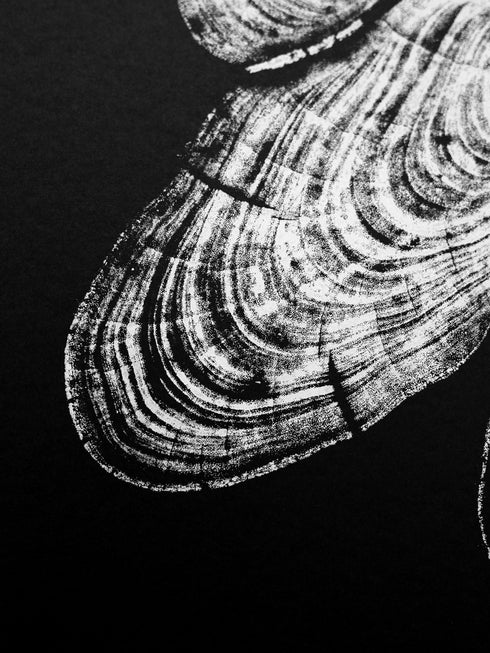 "Cypress" - Tree Print - Black Paper